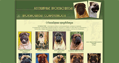 Desktop Screenshot of producer.bullmast.ru
