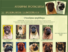 Tablet Screenshot of producer.bullmast.ru